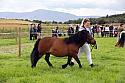 Carnwath2025Ring3273