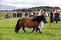Carnwath2025Ring3274