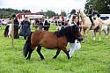 Carnwath2025Ring3275