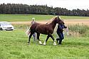 Carnwath2025Ring3278