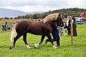 Carnwath2025Ring3279