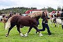Carnwath2025Ring3280
