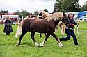 Carnwath2025Ring3281