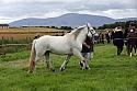 Carnwath2025Ring3283