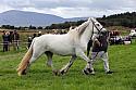 Carnwath2025Ring3284