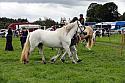 Carnwath2025Ring3285