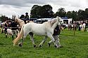 Carnwath2025Ring3286