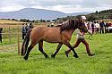 Carnwath2025Ring3294