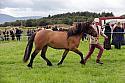 Carnwath2025Ring3295