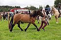 Carnwath2025Ring3296