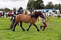 Carnwath2025Ring3297