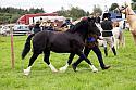 Carnwath2025Ring3304