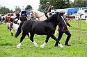 Carnwath2025Ring3305