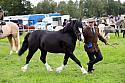 Carnwath2025Ring3306