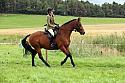 Carnwath2025Ring3313