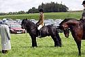 Carnwath2025Ring3348