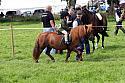 Carnwath2025Ring3395