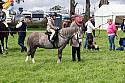 Carnwath2025Ring3400
