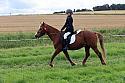 Carnwath2025Ring3417