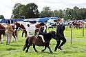 Carnwath2025Ring3442