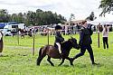 Carnwath2025Ring3444