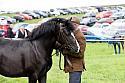 Carnwath2025Ring3469