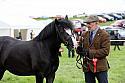 Carnwath2025Ring3474