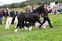 Carnwath2025Ring3478