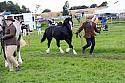 Carnwath2025Ring3479