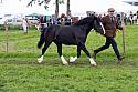 Carnwath2025Ring3480
