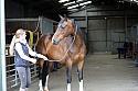 Donnelly1H5A5825014