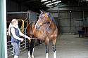 Donnelly1H5A5826015