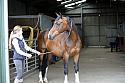 Donnelly1H5A5827016