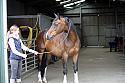 Donnelly1H5A5828017