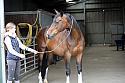 Donnelly1H5A5829018