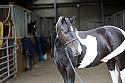 Donnelly1H5A5919032