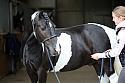 Donnelly1H5A5927035