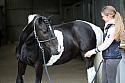 Donnelly1H5A5938038