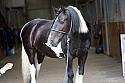 Donnelly1H5A5979067