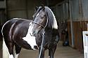 Donnelly1H5A5983069