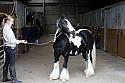 Donnelly1H5A6033093