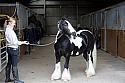 Donnelly1H5A6035095