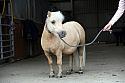 Donnelly1H5A6147131