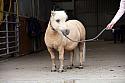Donnelly1H5A6149133