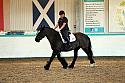 Novice2006