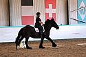 Novice2008