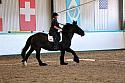 Novice2009
