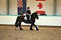 Novice2010