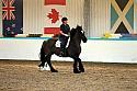 Novice2011