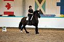 Novice2012